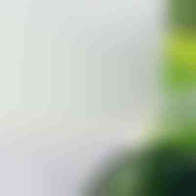 Folie de Protectie pentru Geam si Fereastra, Autocolant Adeziv cu Protectie UV | WINDOWFILM