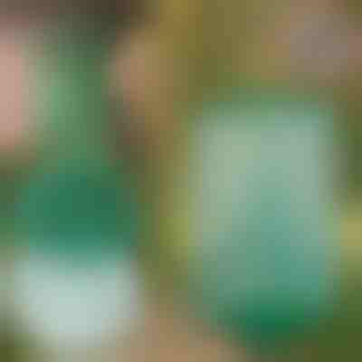 Plasă reutilizabilă pentru prinderea insectelor | INSECTA