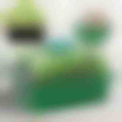 Tavă pentru răsaduri cu compartimente | PLANTURKA