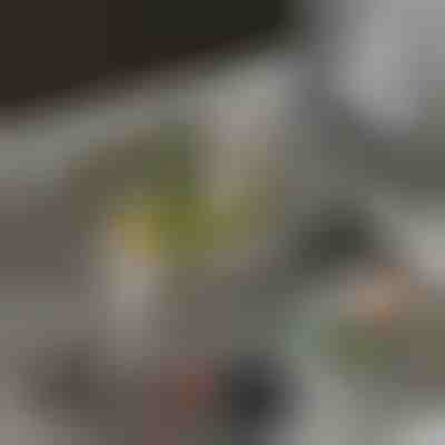 Coș de scurgere pentru chiuvetă | EVOSINK