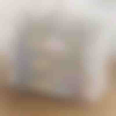 Cutie transparentă pentru pantofi | DURASTOR