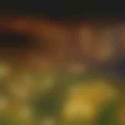 Ghirlandă luminoasă solară cu 6 becuri LED | SOMPEX